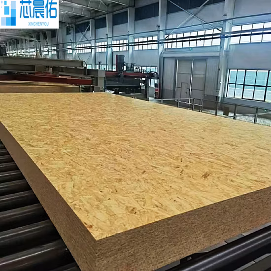 10mm 12mm 16mm 18mm Cheap Price Waterproof Wholesale Plywood OSB 3 Board 4X8 for Building Floor